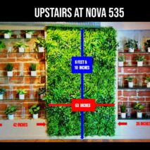 Wall – Upstairs South West – Shelves and Greenery